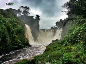 🎣 Hooked into the ultimate thrill in Gabon waters – an African